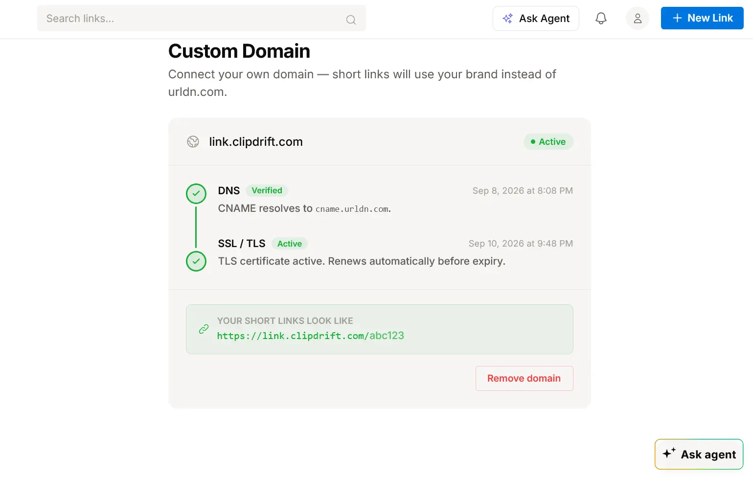 URLdn Custom Domain settings showing DNS verified and SSL/TLS certificate active for a connected domain